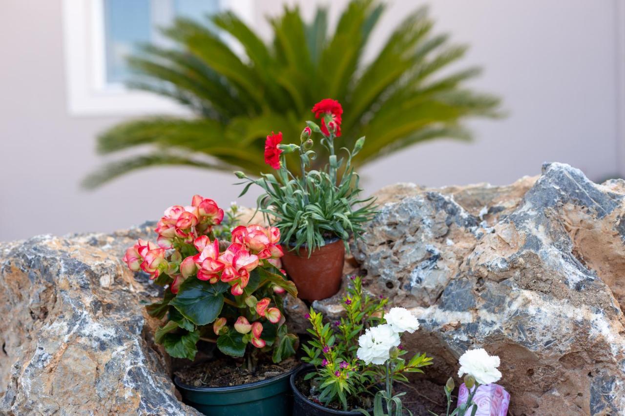 Nightingale Villa & Suites Corfu Gazatika Exterior photo
